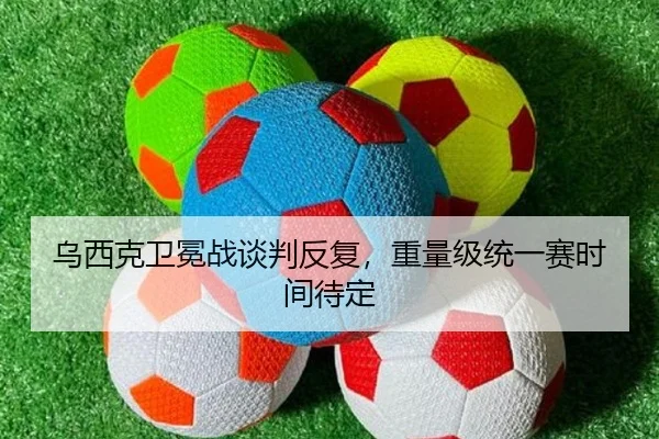 乌西克卫冕战谈判反复，重量级统一赛时间待定
